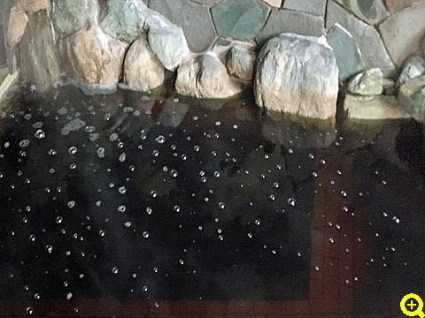 鶴乃家温泉浴場の黒湯