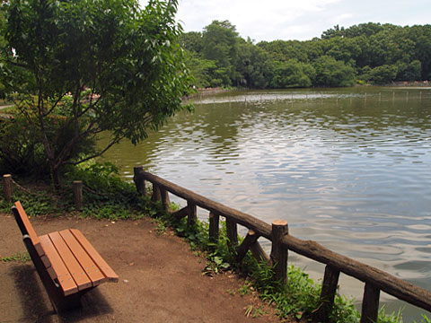 池畔のベンチ